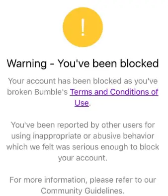 Bumble Accoun Banned