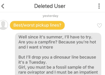 Bumble Deleted User