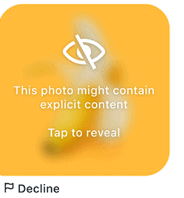 Bumble Image Blurred - Private Detector